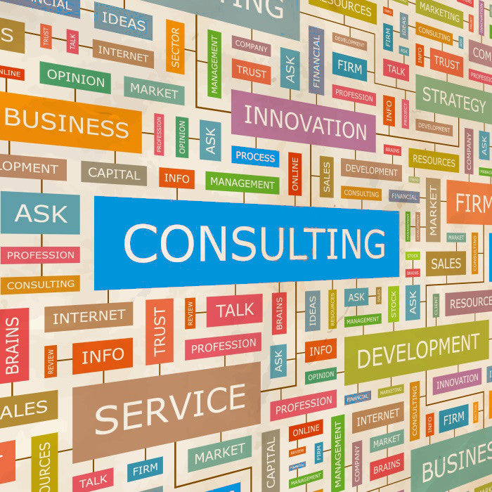 Startup Consultation