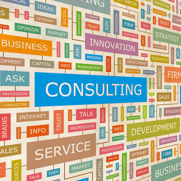 Startup Consultation